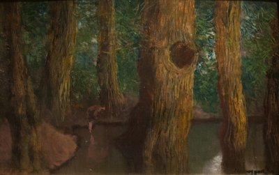 Inside the Forest by Laszlo Mednyanszky